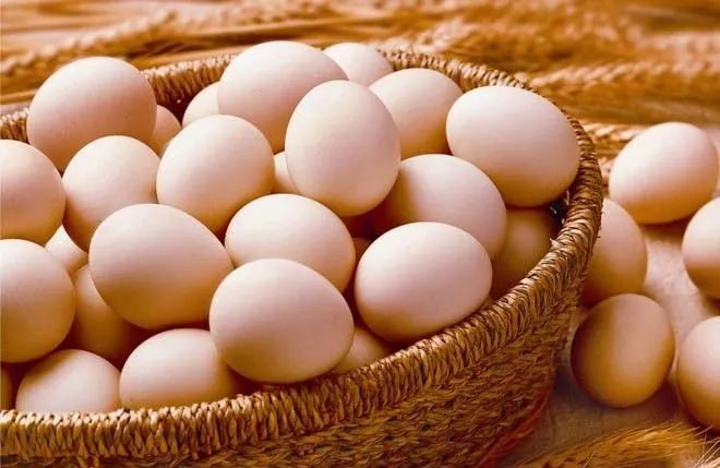 egg